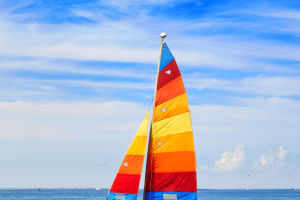 Boat License for A Sailboat