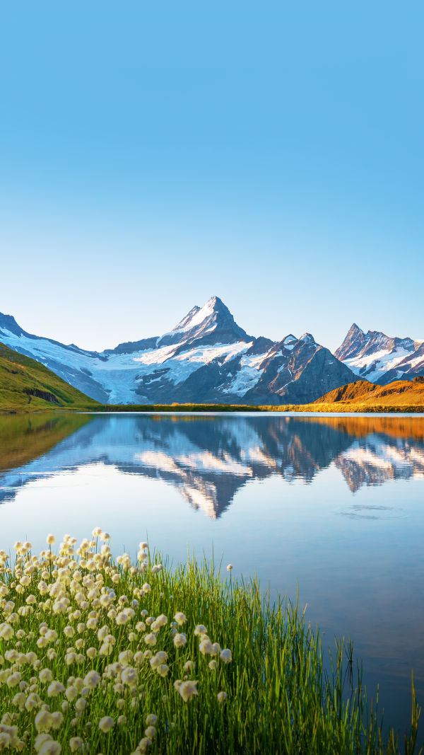 Swiss Adventure