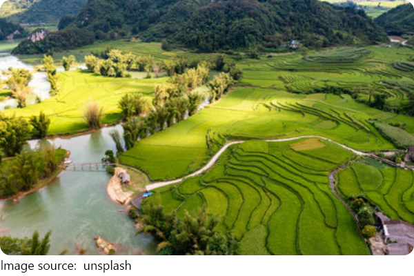 Water's Global Journey