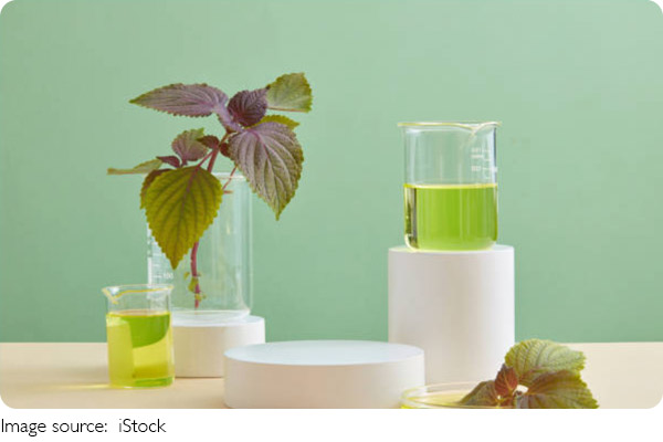 Relaxing Stress-Free Teas