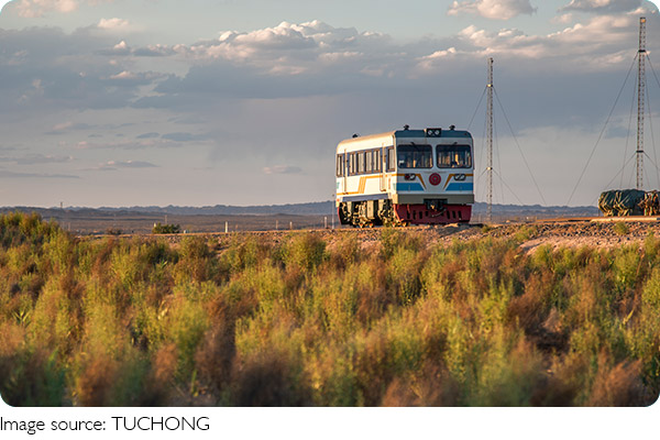Desert Blooms Unveiled
