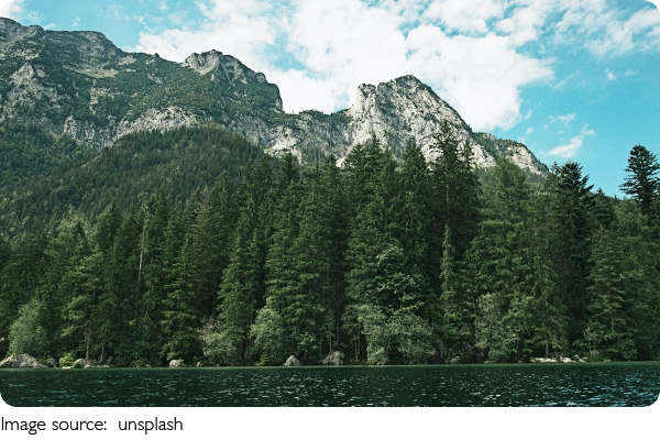 Pforzheim, Gilded & Bold