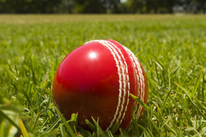 Indian Cricket Journey