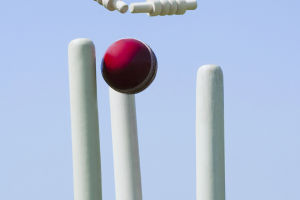 IPL's Secrets to Money