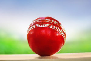 Indian Cricket: $11B