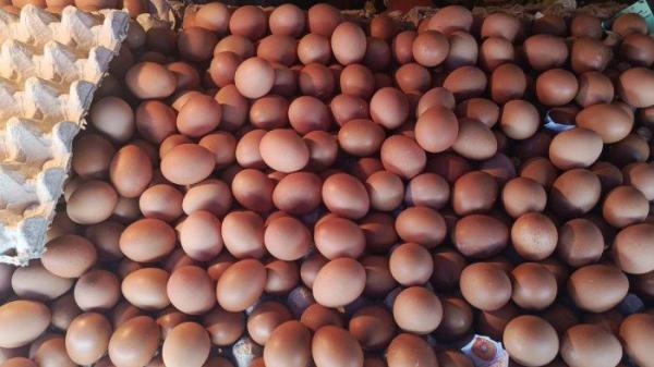 Harga telur di pasar Inpres Namlea, Kabupaten Buru turun, dijual Rp65 ribu per rak, Senin (22/7/2024).