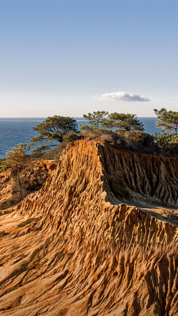 Torrey Pines Nature Reserve