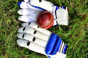 Indian Premier League