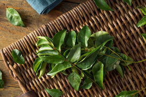 Benefits of Curry Leaves