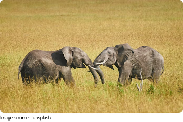 Explorando Kenia