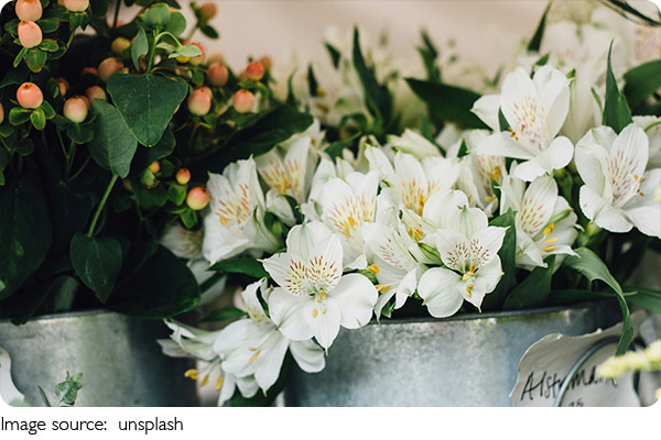 La magie des fleurs