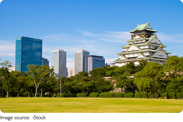Nagoya Castle Guide