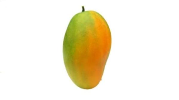 gambar soal 15 PTS/STS Bahasa Inggris