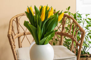 Four Modern Decor Styles