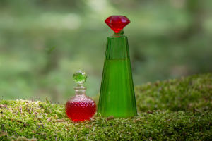 Top 5 Fresh Scents