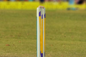 The Surge of IPL