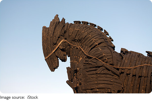 Driftwood Artistry