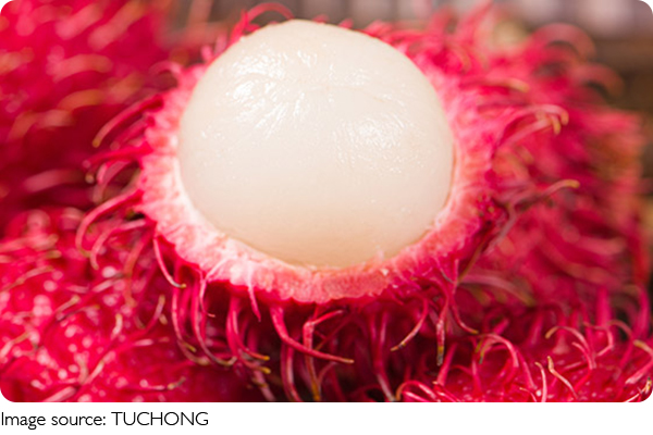 Buah Eksotis