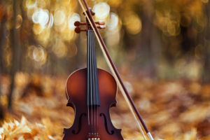 Violin: Art in Sound
