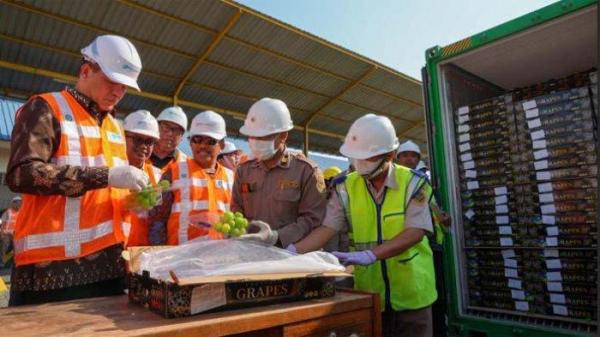 Kepala Badan Karantina Indonesia, Sahat M. Panggabean, melakukan sidak ke tempat pemeriksaan karantina (TPK) di Pelabuhan Tanjung Perak, Surabaya pada Selasa (29/10/2024).