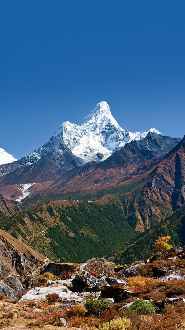 Up the Himalaya