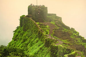 The Strategic Fort