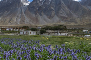 Majestic Ladakh Adventure