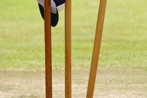 India's Cricket Mania