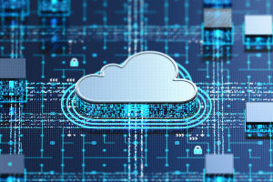 Securing Cloud Networks