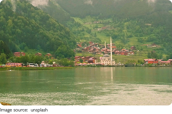 Acampamento na floresta