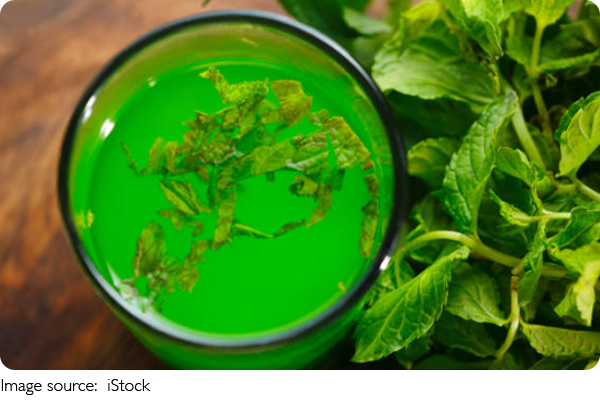 Wild Mint Wonders