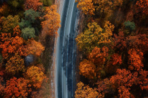 World's Scenic Drives