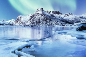 Lofoten’s Northern Lights