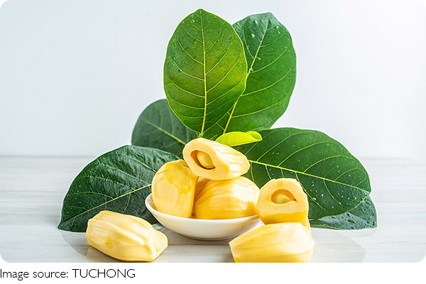 Jackfruit's Hidden Power