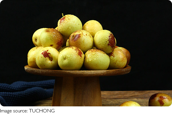 Frisch & Gesund