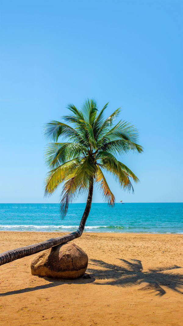 Tropical Gem of China