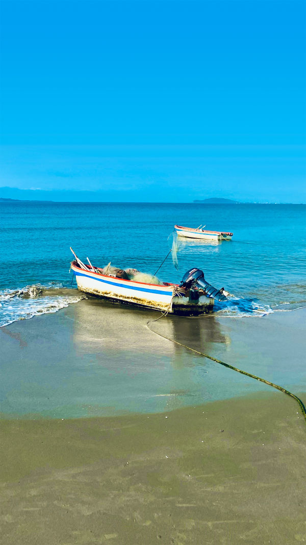 Serenity at Dongshan