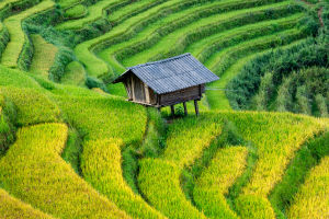 Yen Bai: Vietnam Hidden Gem