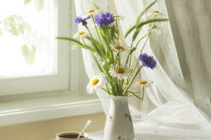 Flowers, Coffee, Joy