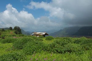 Amboli's Misty Retreat