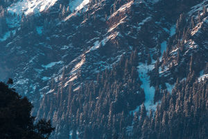 Uttarakhand Awaits