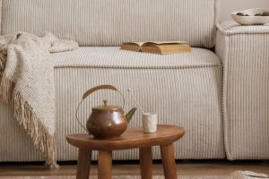 Keep Sofas Fresh & Clean