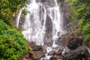 Amboli Falls: Nature's Gem