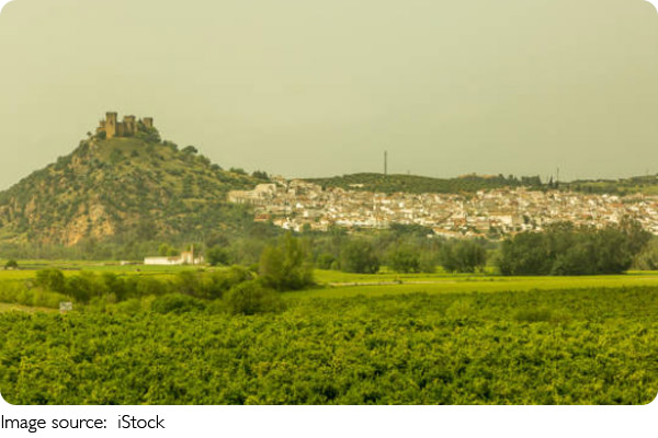 Spring to Snow: Andalucía!