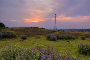 Satara: Weekend Getaway