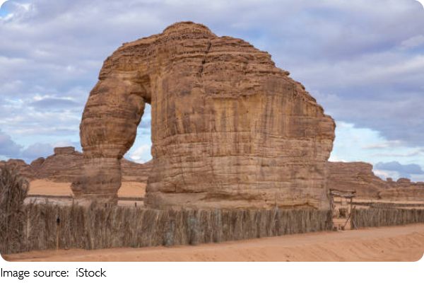 Arte en el Desierto