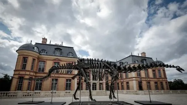 Kerangka dinosaurus apatosaurus Vulcain di kastil Dampierre di Dampierre-en-Yvelines, Paris.