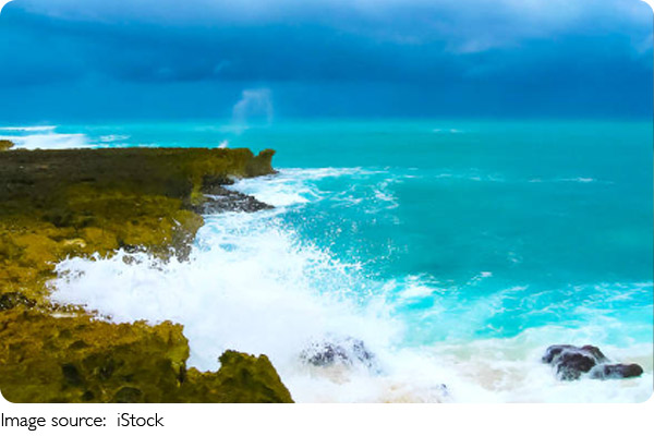 Oaxaca: Where Waves Whisper