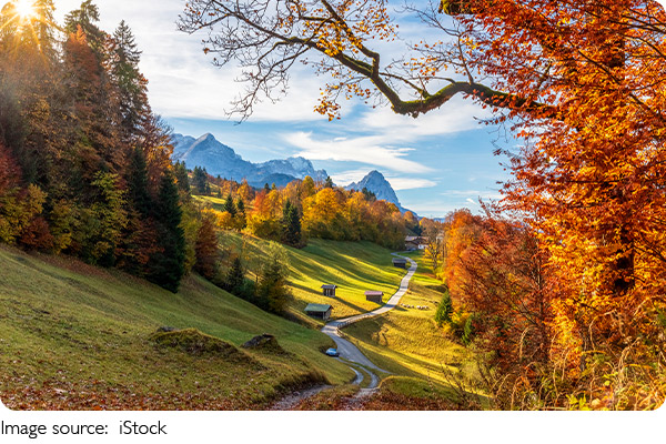 Cottbus: Green & Genius