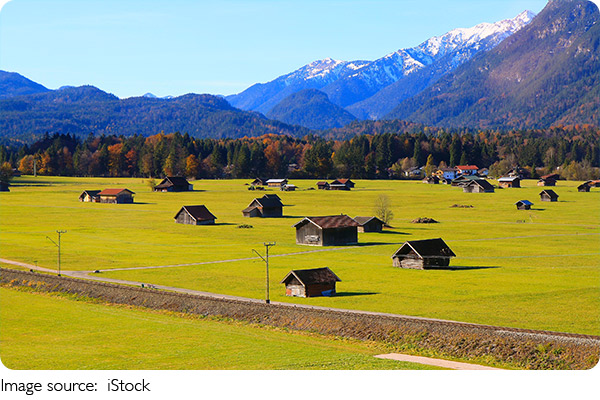 Pforzheim, Gilded & Bold